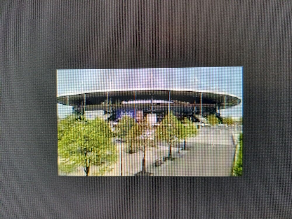 Фото 169056472620