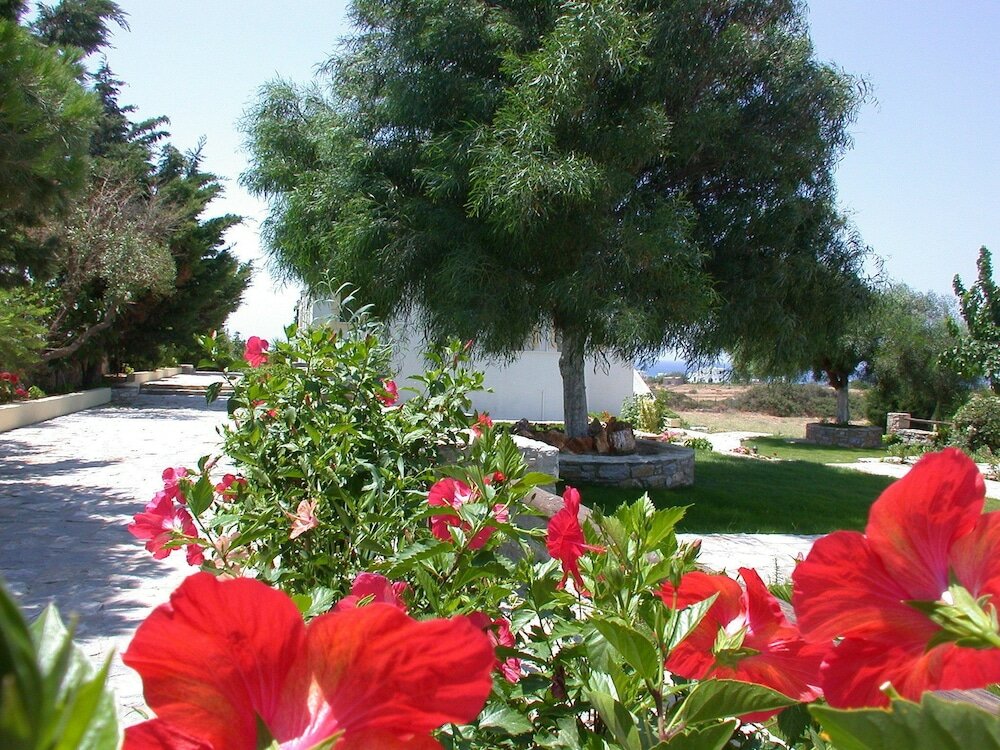 Фото Scala Apartments