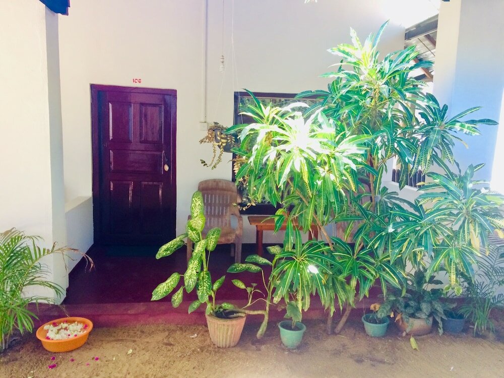 Фото Tropicana homestay