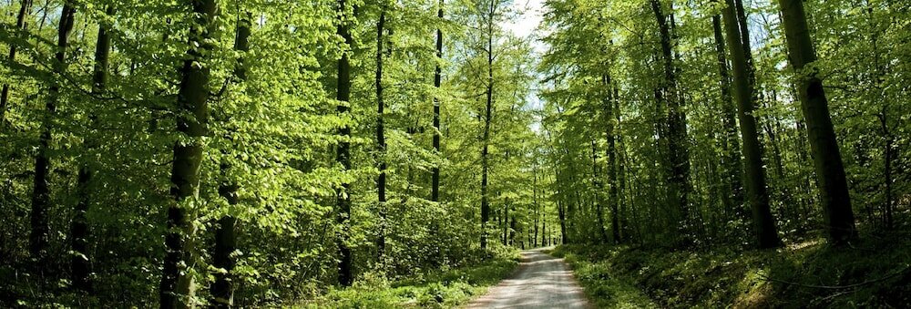 Фото Biohotel Wilhelmshöher Tor