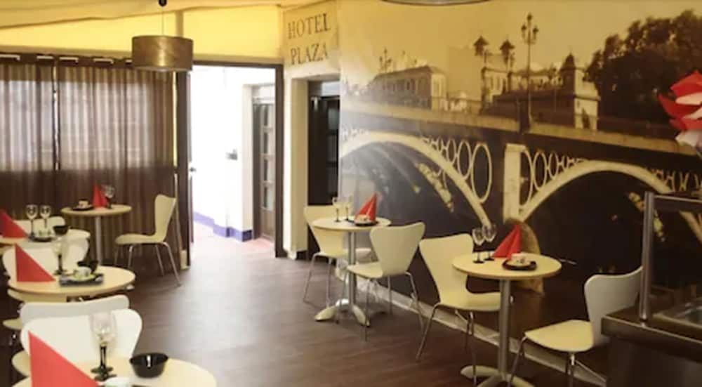Фото Hotel Plaza Sevilla