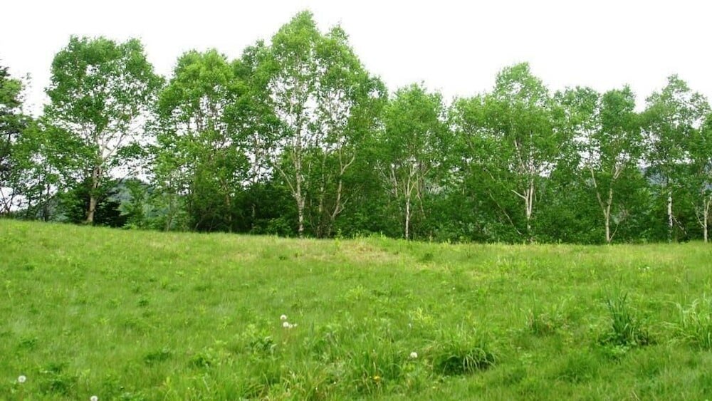 Фото Shiga Grand Hotel