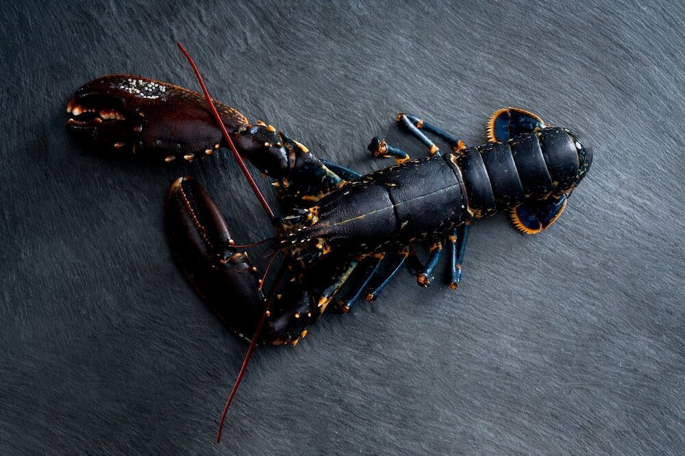 Фото The Ritz-Carlton Hong Kong