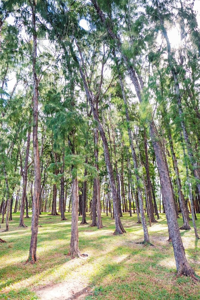 Фото Salt of Palmar, Mauritius, a Member of Design Hotels