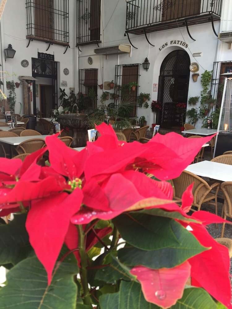 Фото Los Patios Hotel