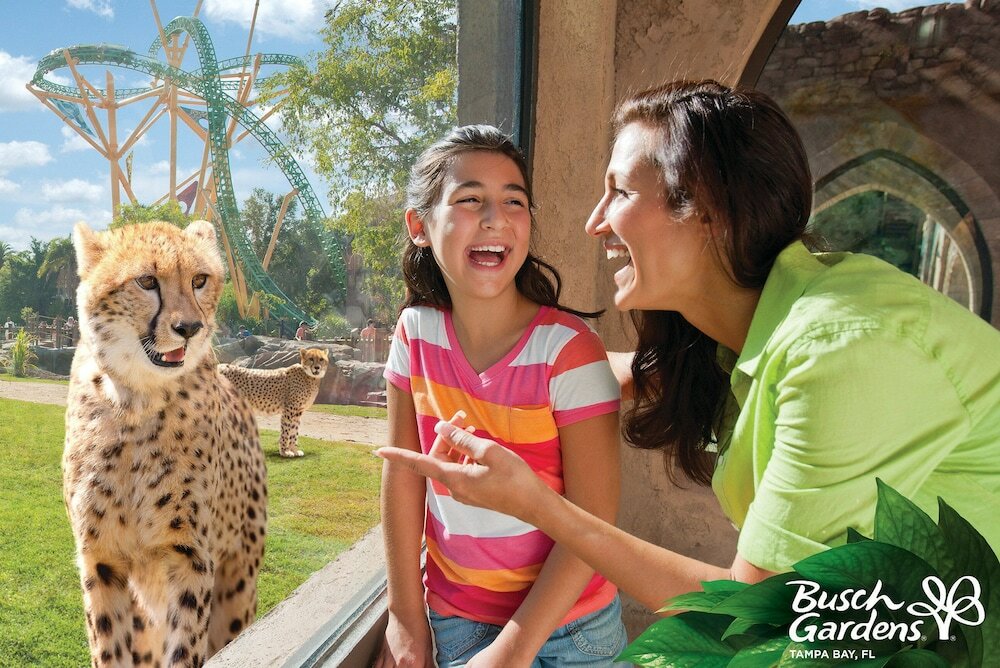 Фото The Don CeSar