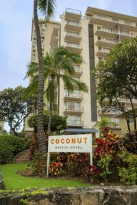 отель Coconut Waikiki Hotel