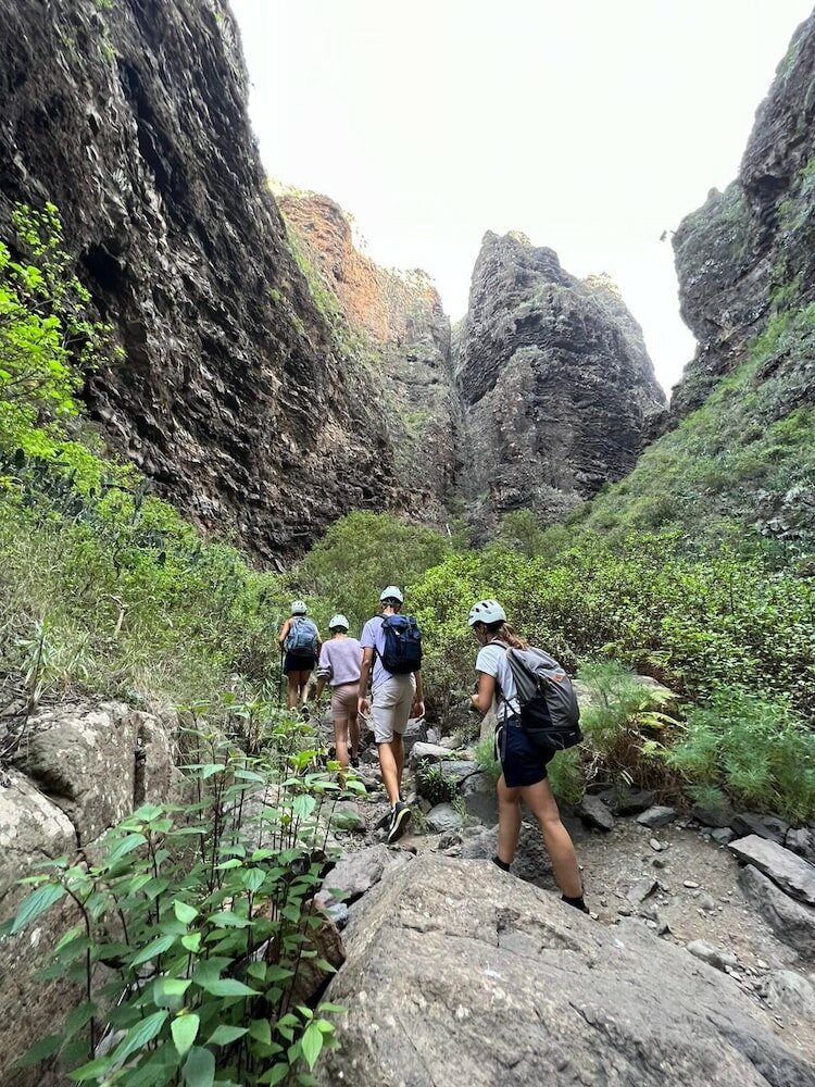 Фото Arena Nest Hostel