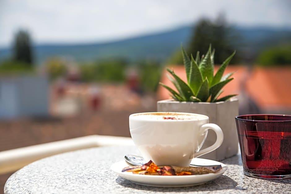 Фото Admiral Kurpark