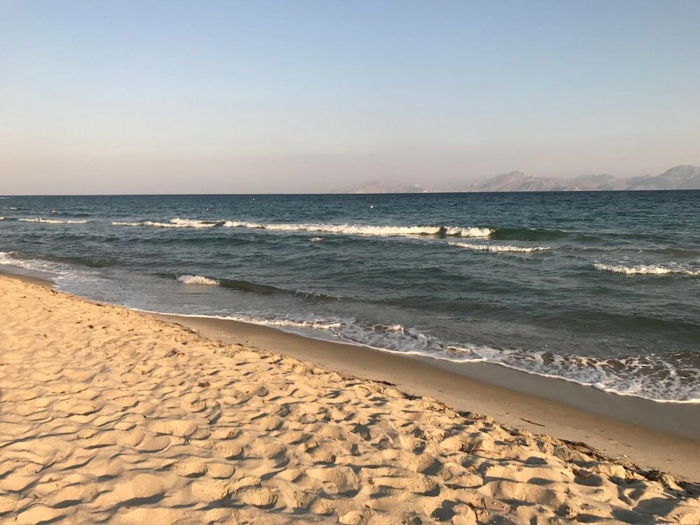 Фото Palladium Hotel