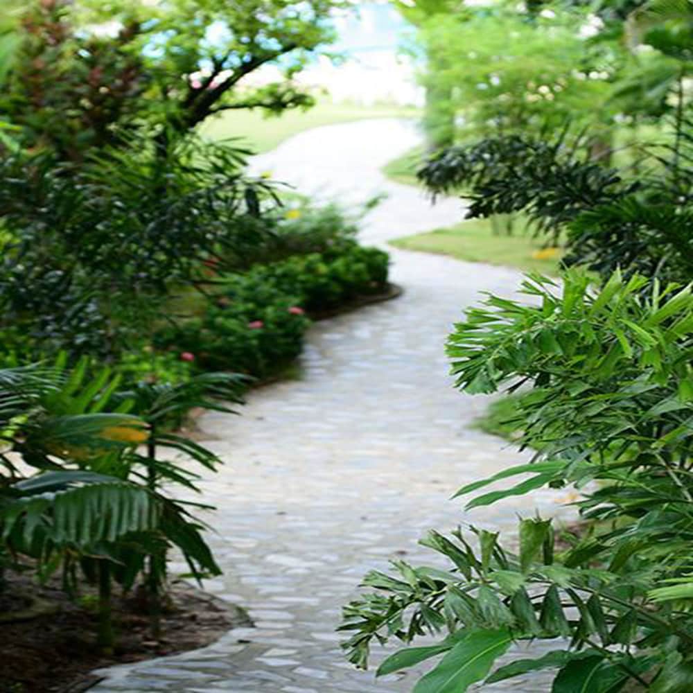 Фото Havana Beach Resort