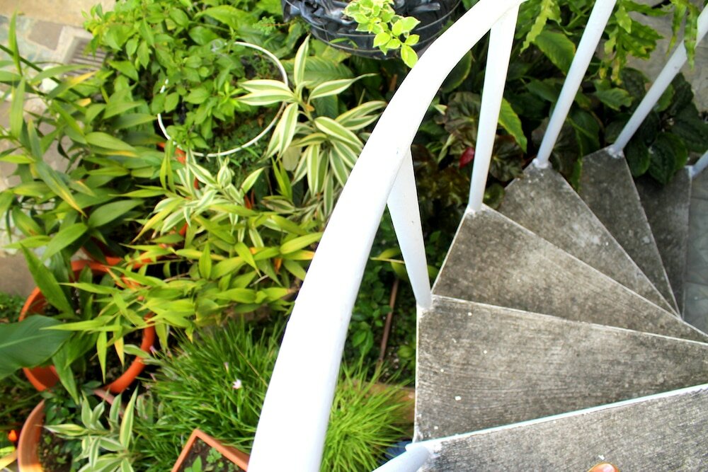 Фото Hotel Tazumal House