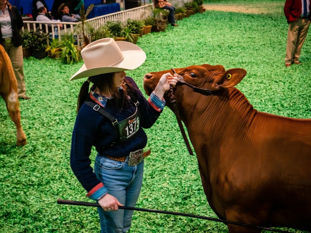 Фото Staybridge Suites Houston Galleria Area, an Ihg Hotel