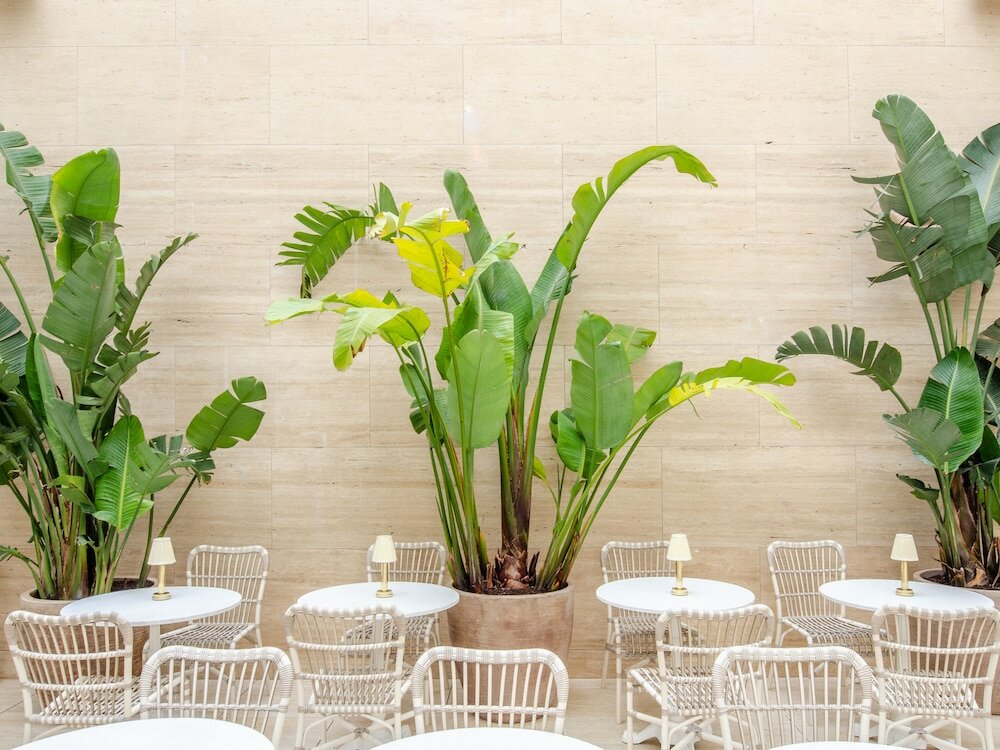 Фото Browns Avenue Hotel