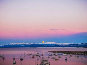 Гостиница Hotel Monaco