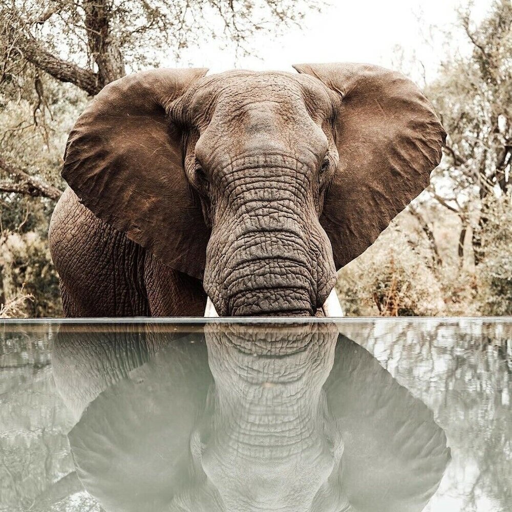 Фото 158997887249