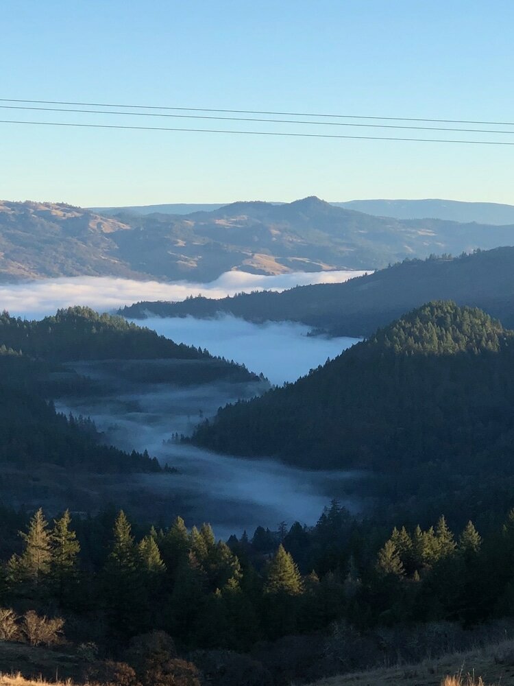 Фото Heartwood Mountain Sanctuary