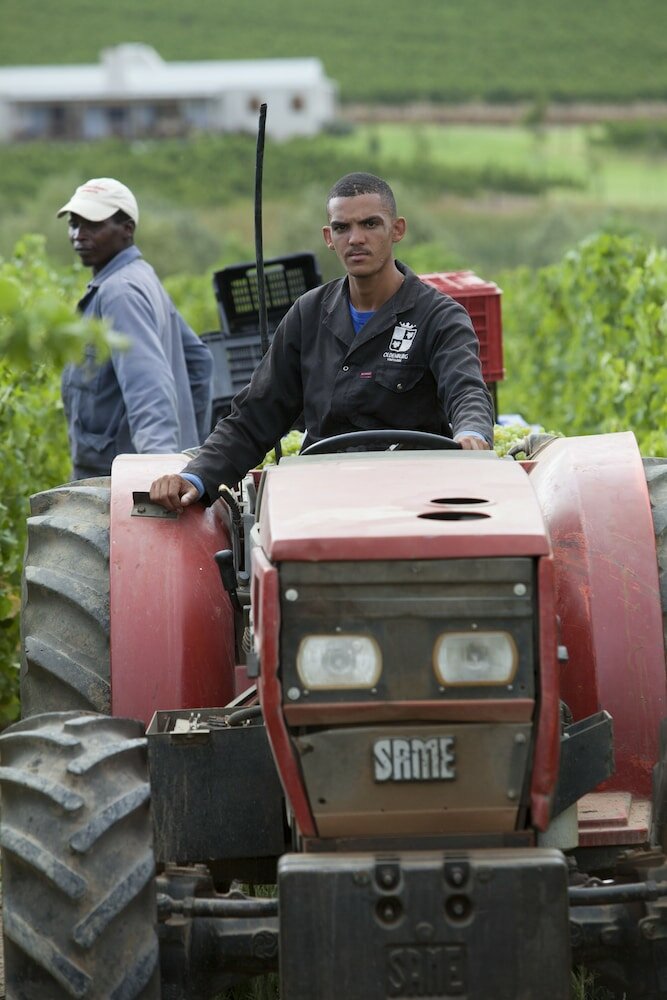 Фото Klein Welmoed Luxury Guest House