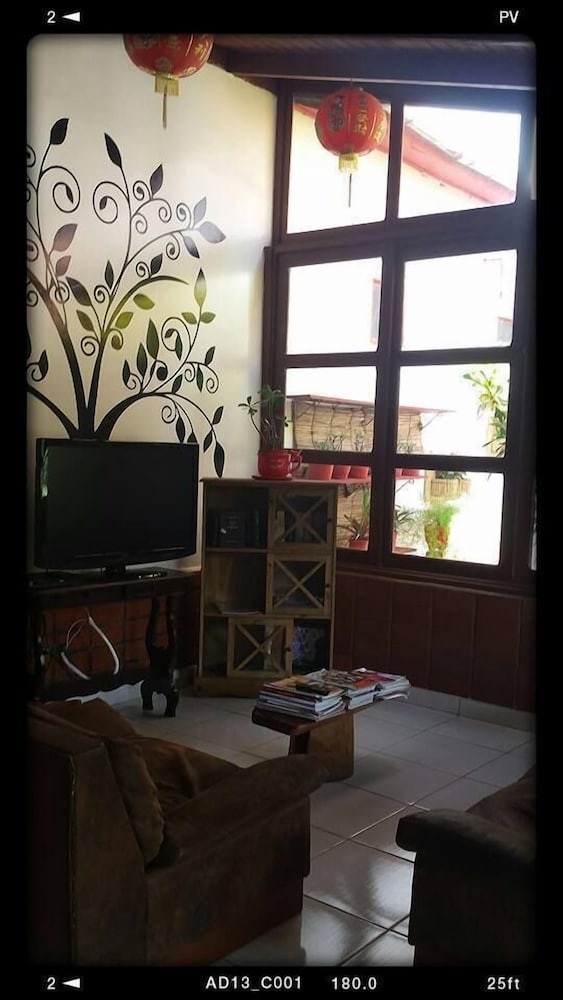 Фото Hotel Bonsai