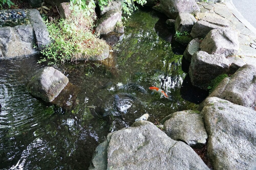 Фото Hotel Blancvert Nasu