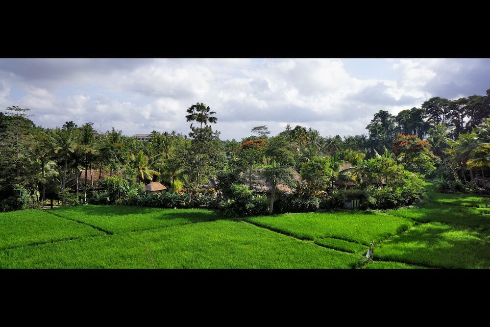 Фото Arma Museum & Resort