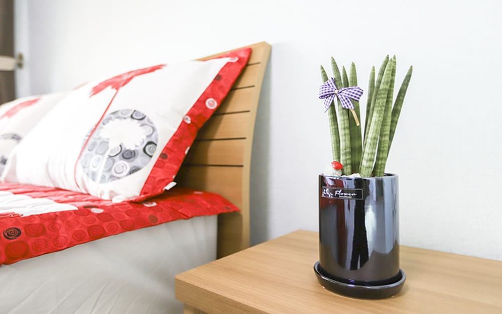 Фото Golden Field Pension