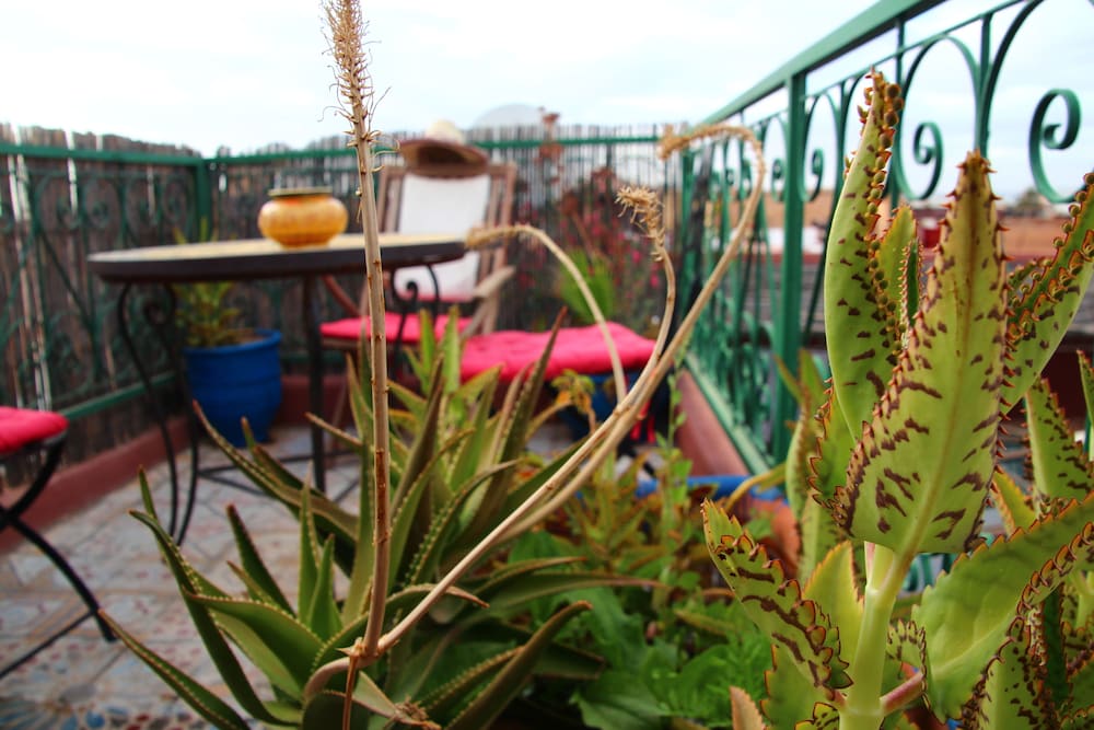 Фото Riad Bibtia