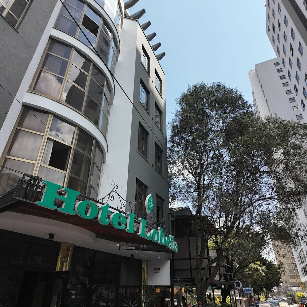 Фото Hotel Lobelia