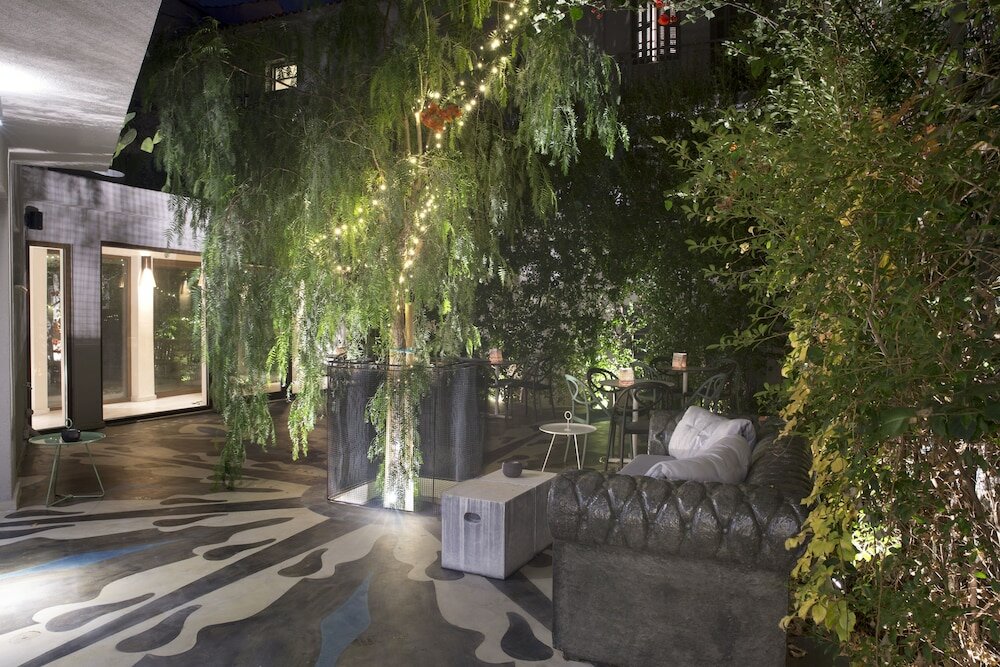 Фото Apollon Library Suites