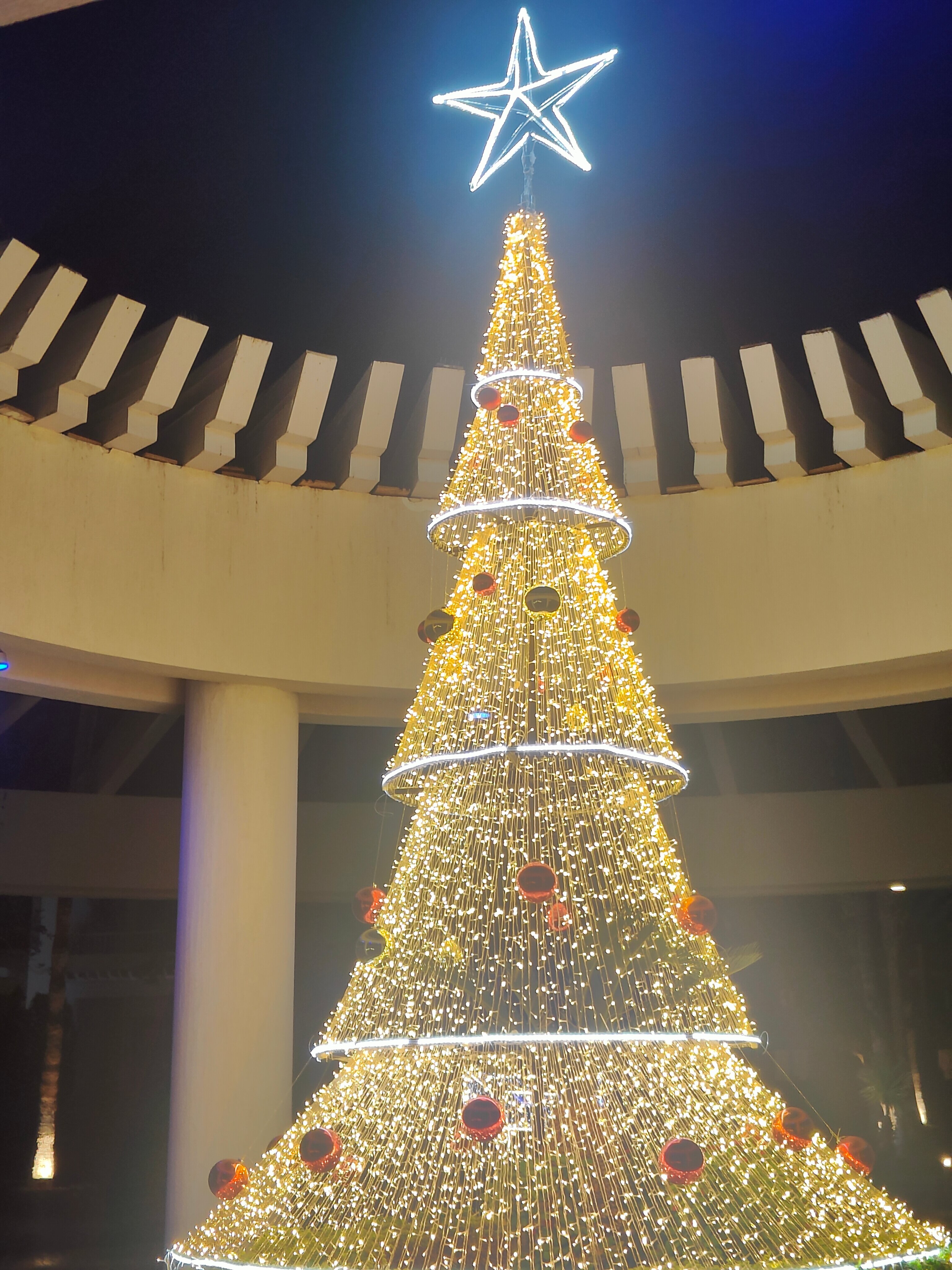 Фото Monte Carlo Sharm Resort & SPA