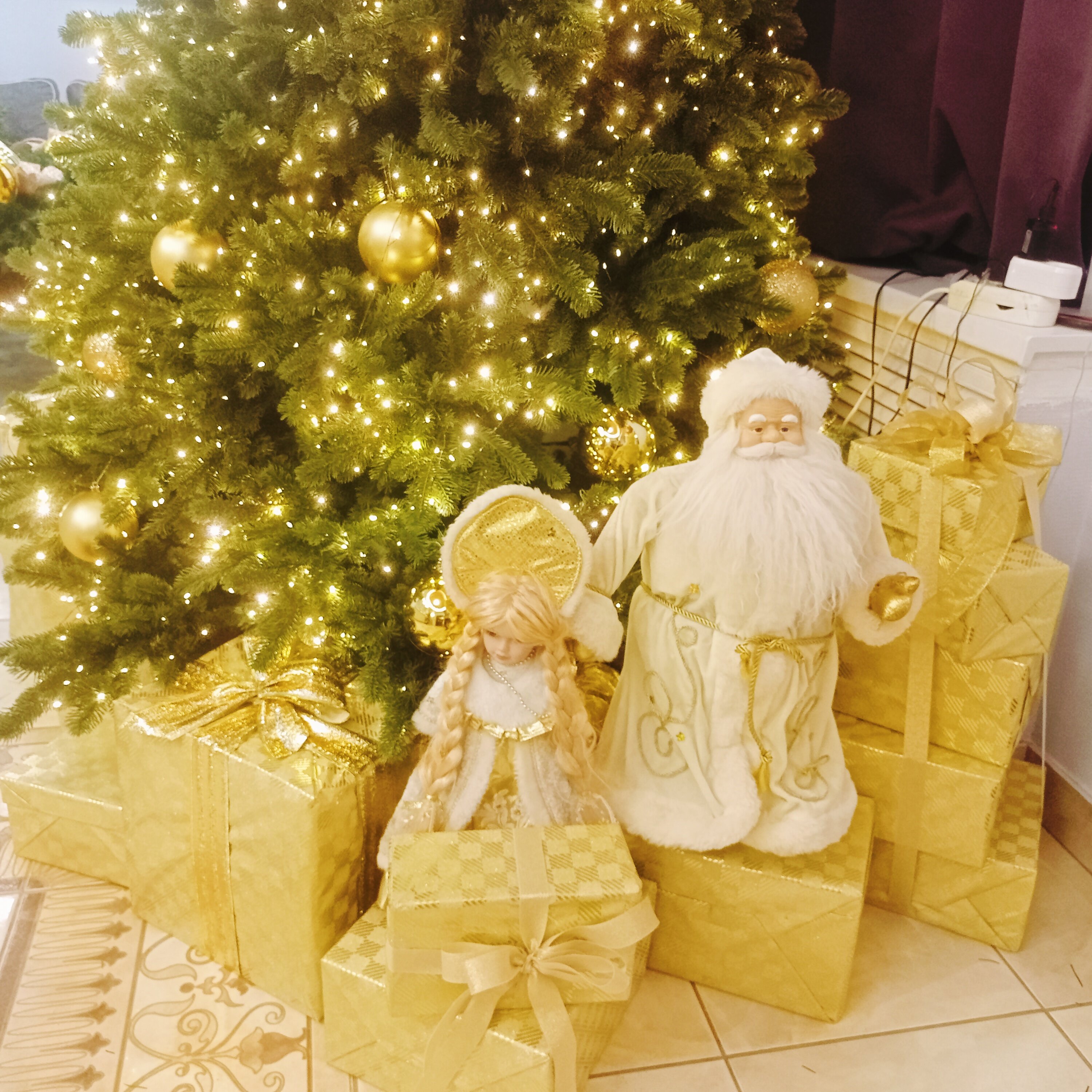 Фото Сухона