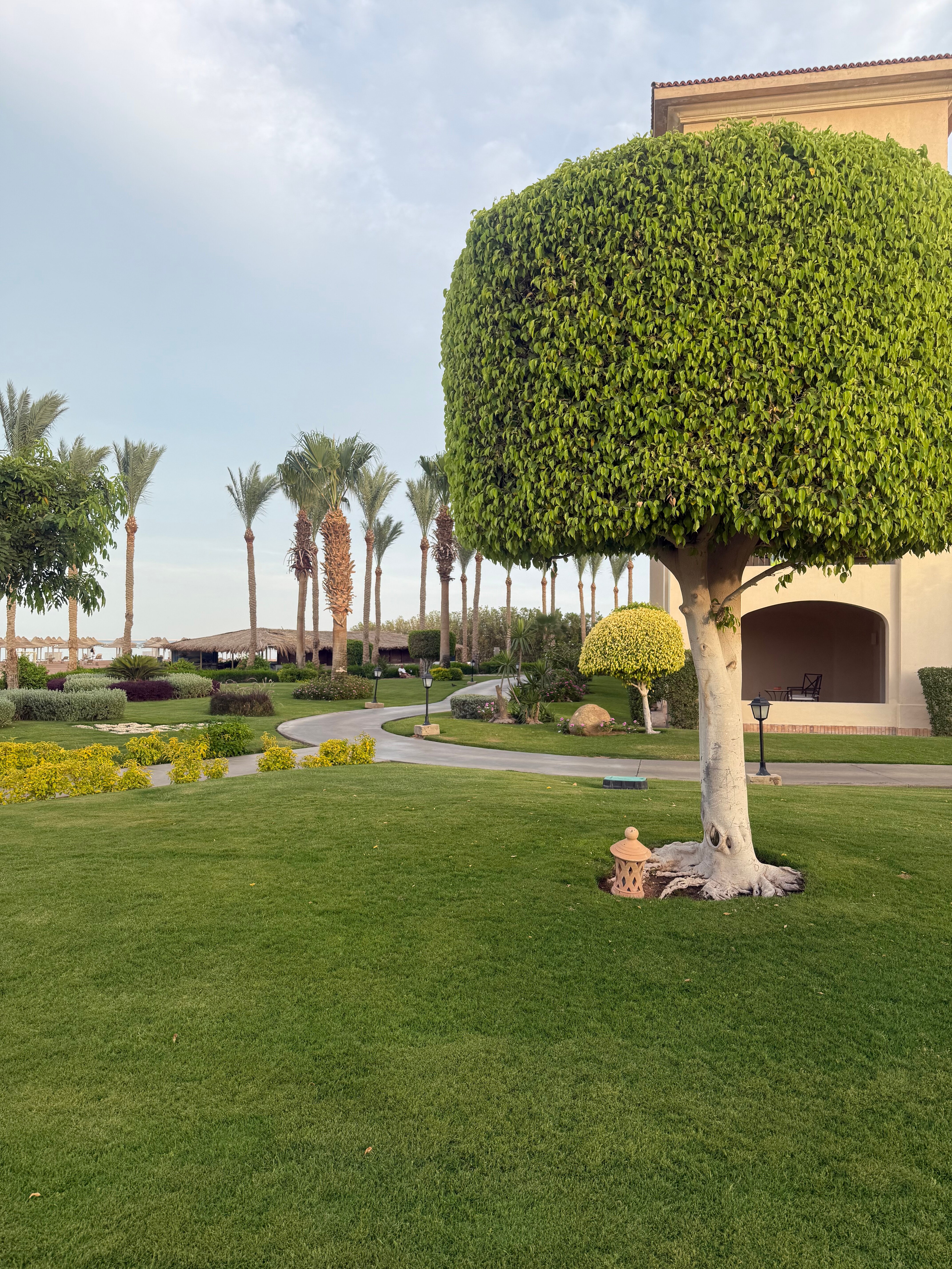 Фото Jaz Mirabel Beach