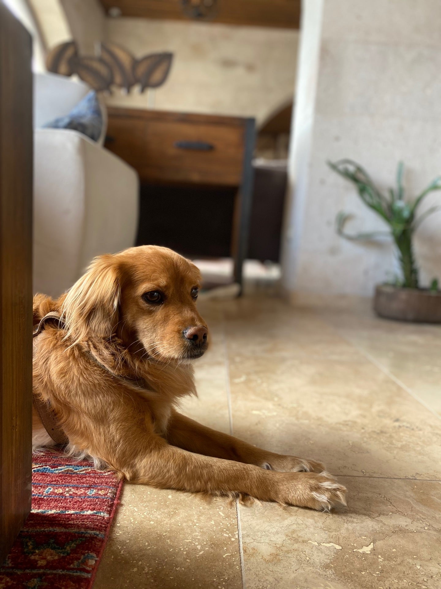 Фото Nino Cave Suites