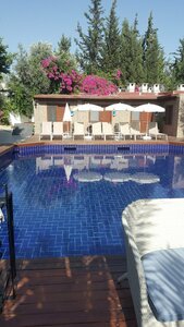 Гостиница Hotel Centro Bodrum