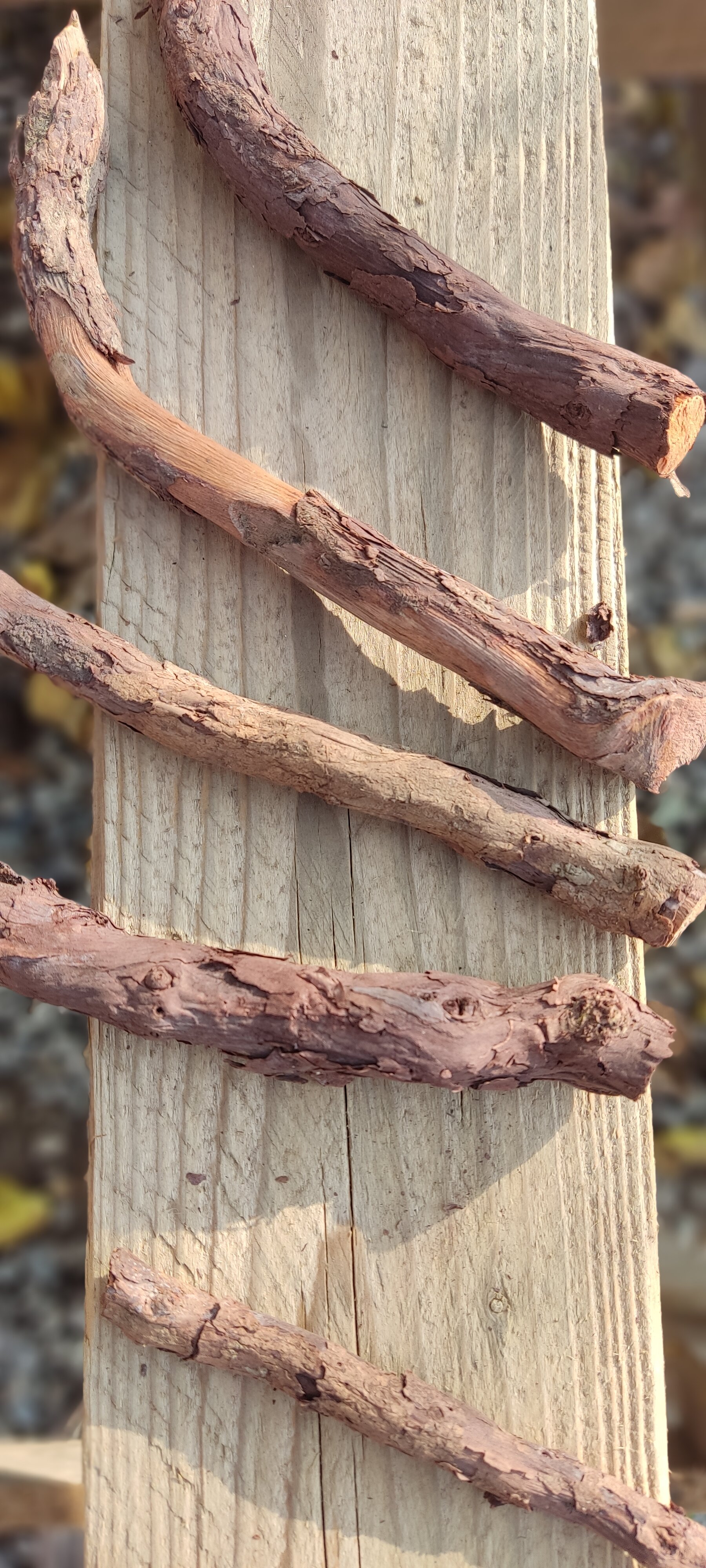 Фото Woolway Studios