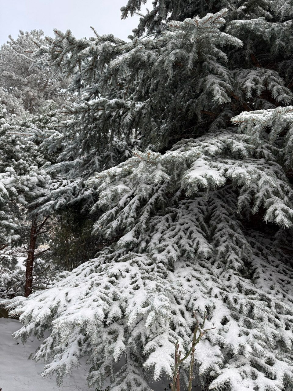 Фото Райский уголок