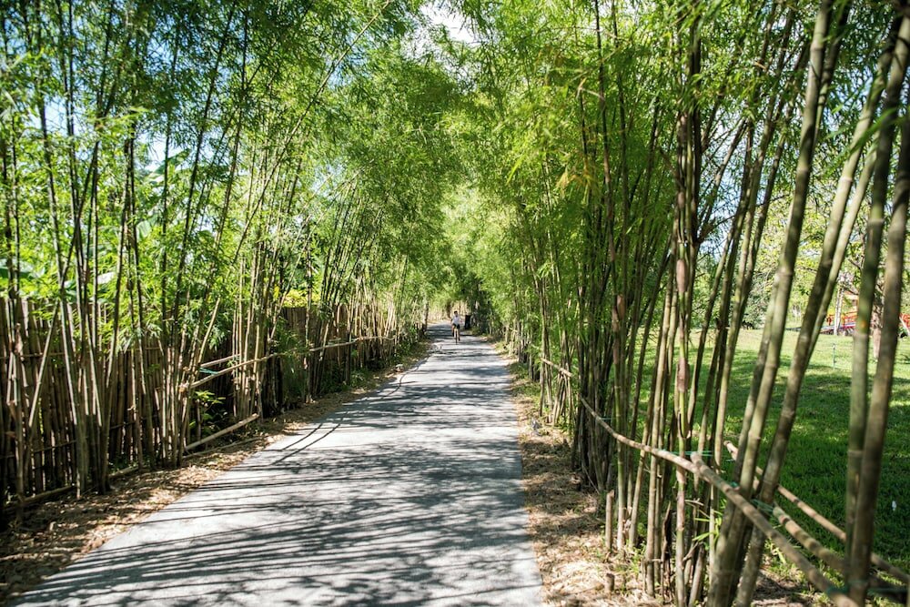 Фото Alba Wellness Valley by Fusion