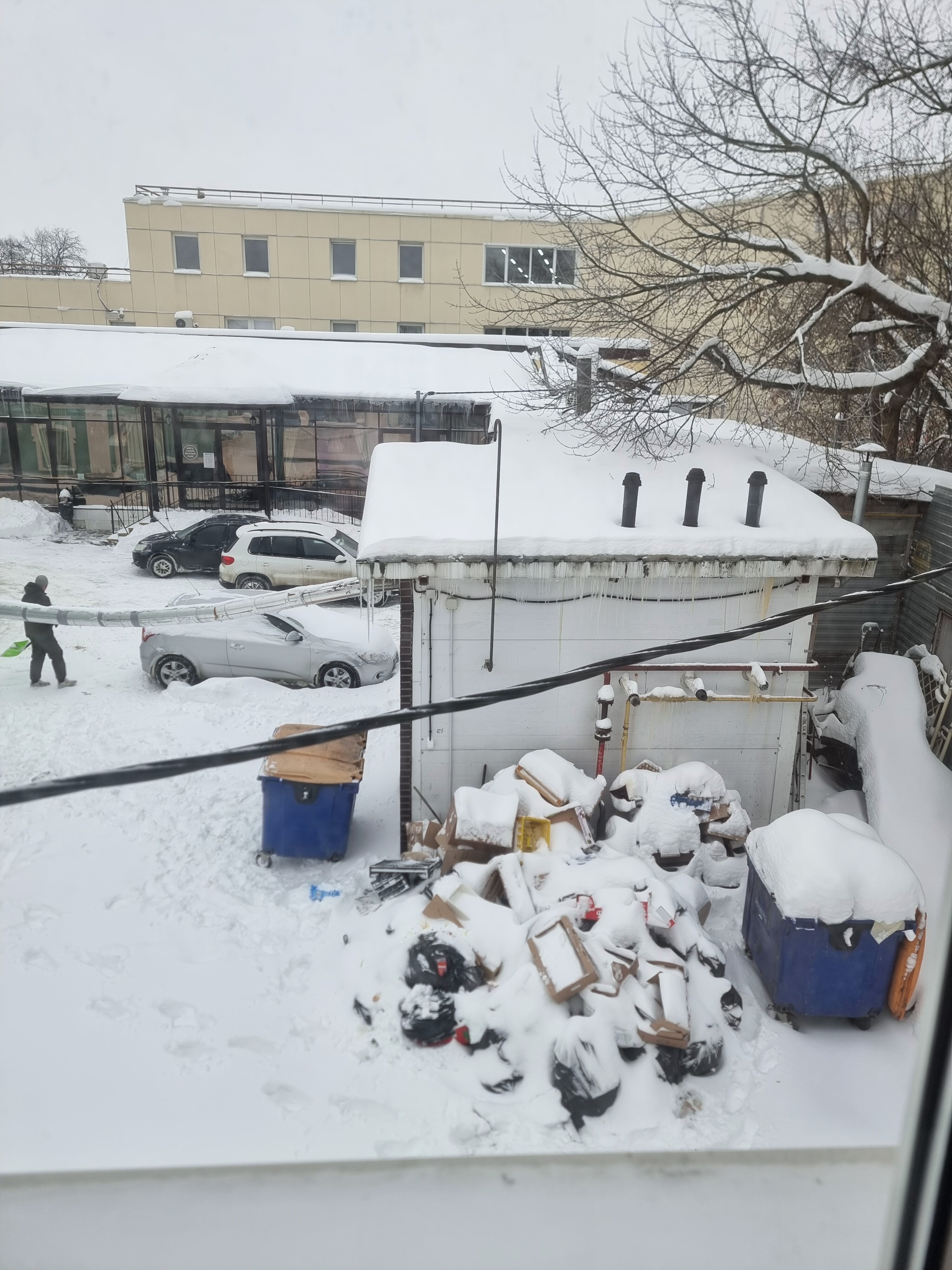 Фото Кристайл