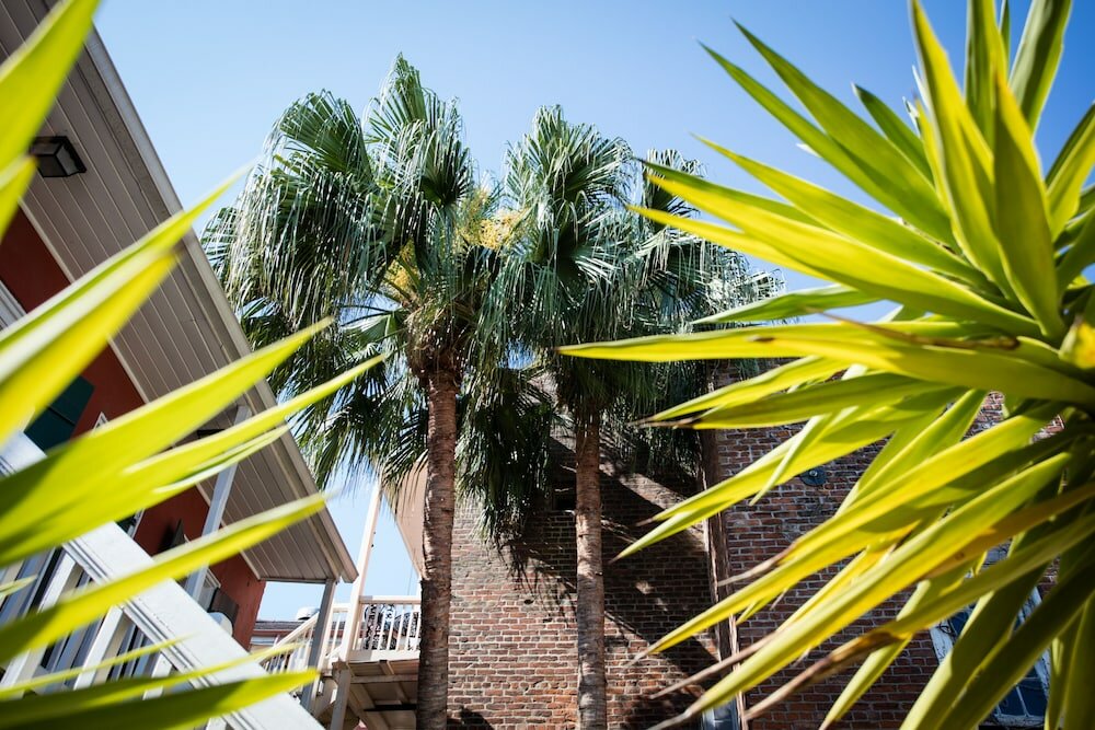 Фото Hotel St. Pierre