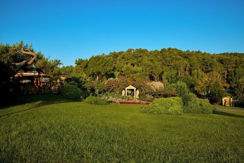 Гостиница Mövenpick Resort Antalya Tekirova в Текирове
