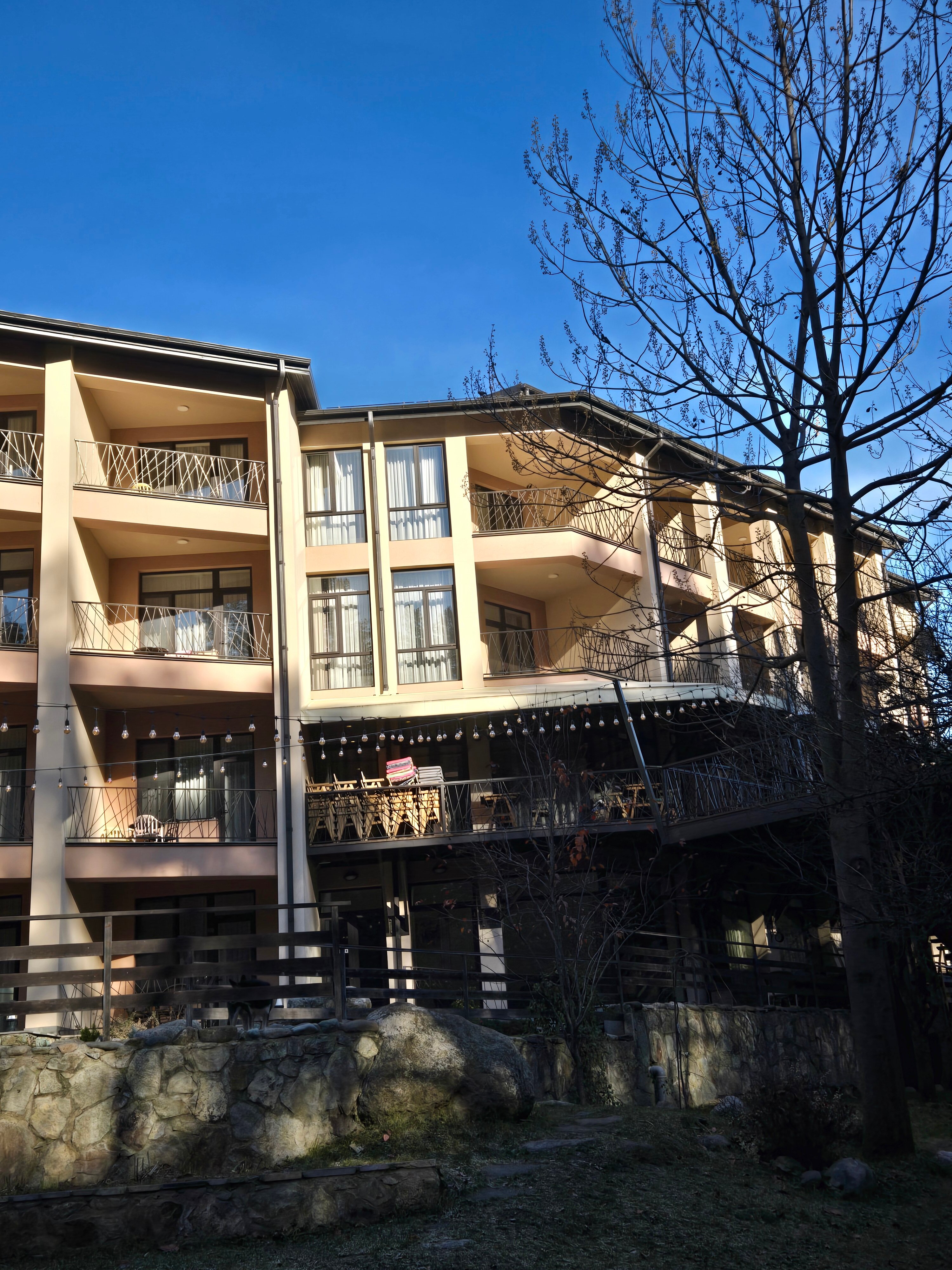 Фото Дилиджазз