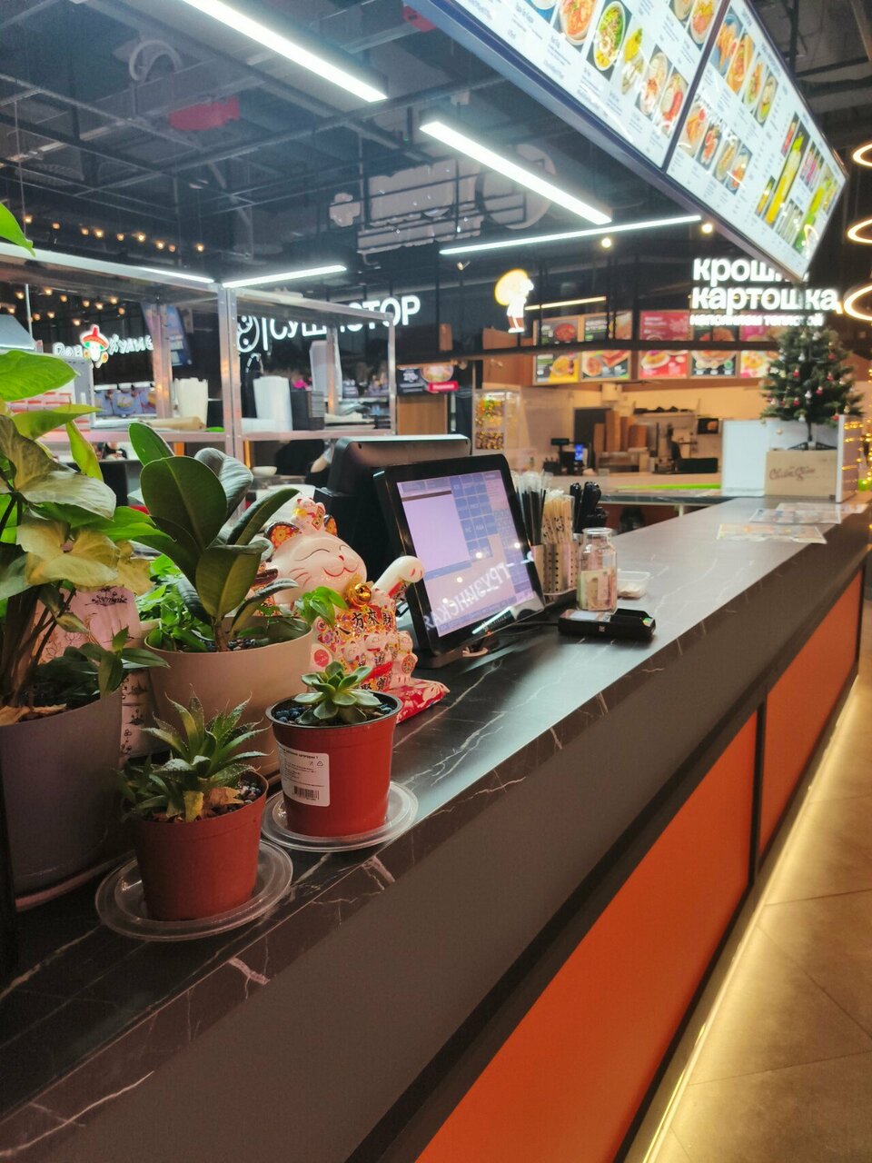 Yum+ Thai Kitchen — Yum+ Thai Kitchen