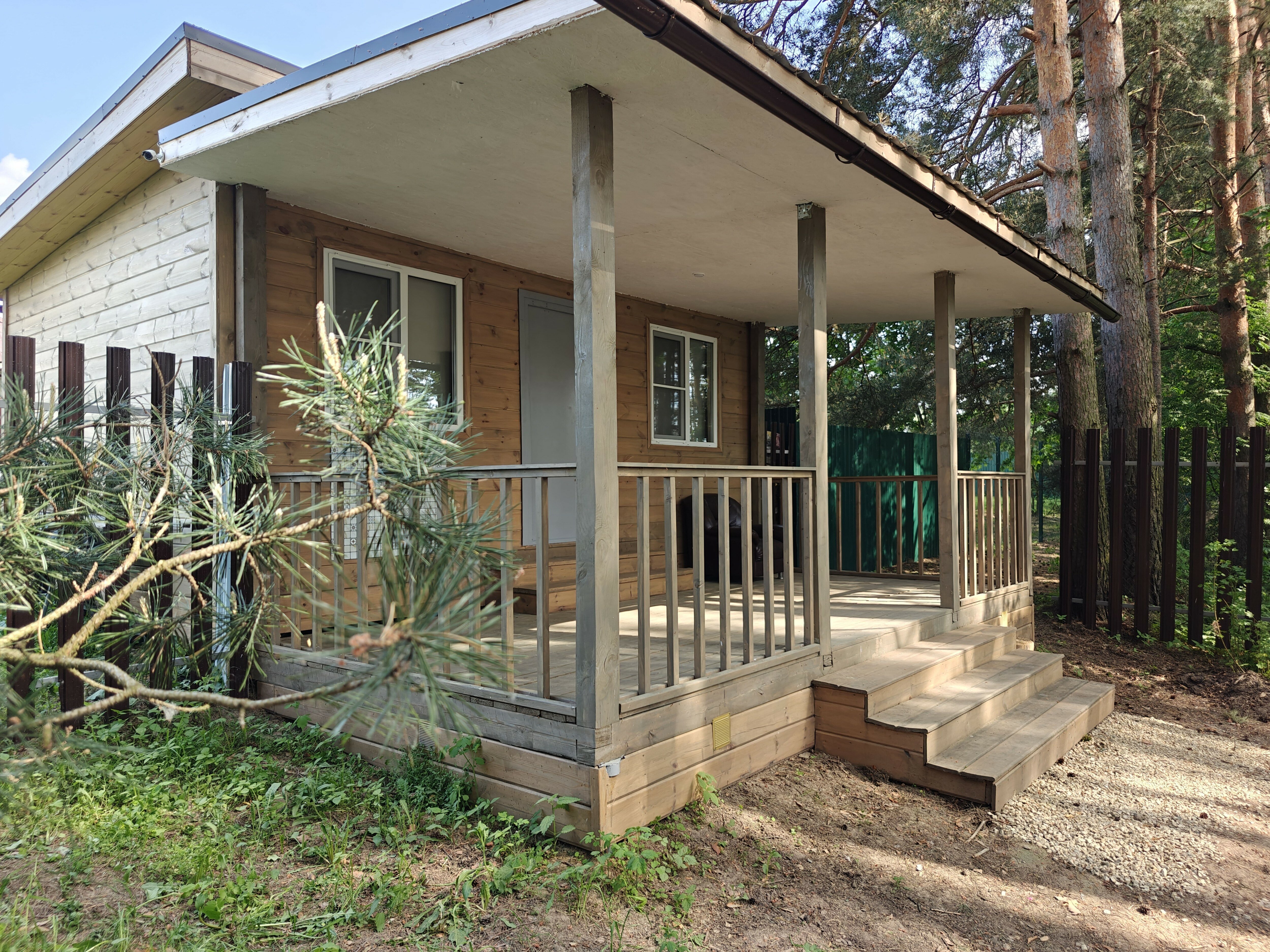 Фото Сосновый берег