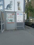 Sova (Dalnevostochniy Avenue, 57к1), children's developmental center