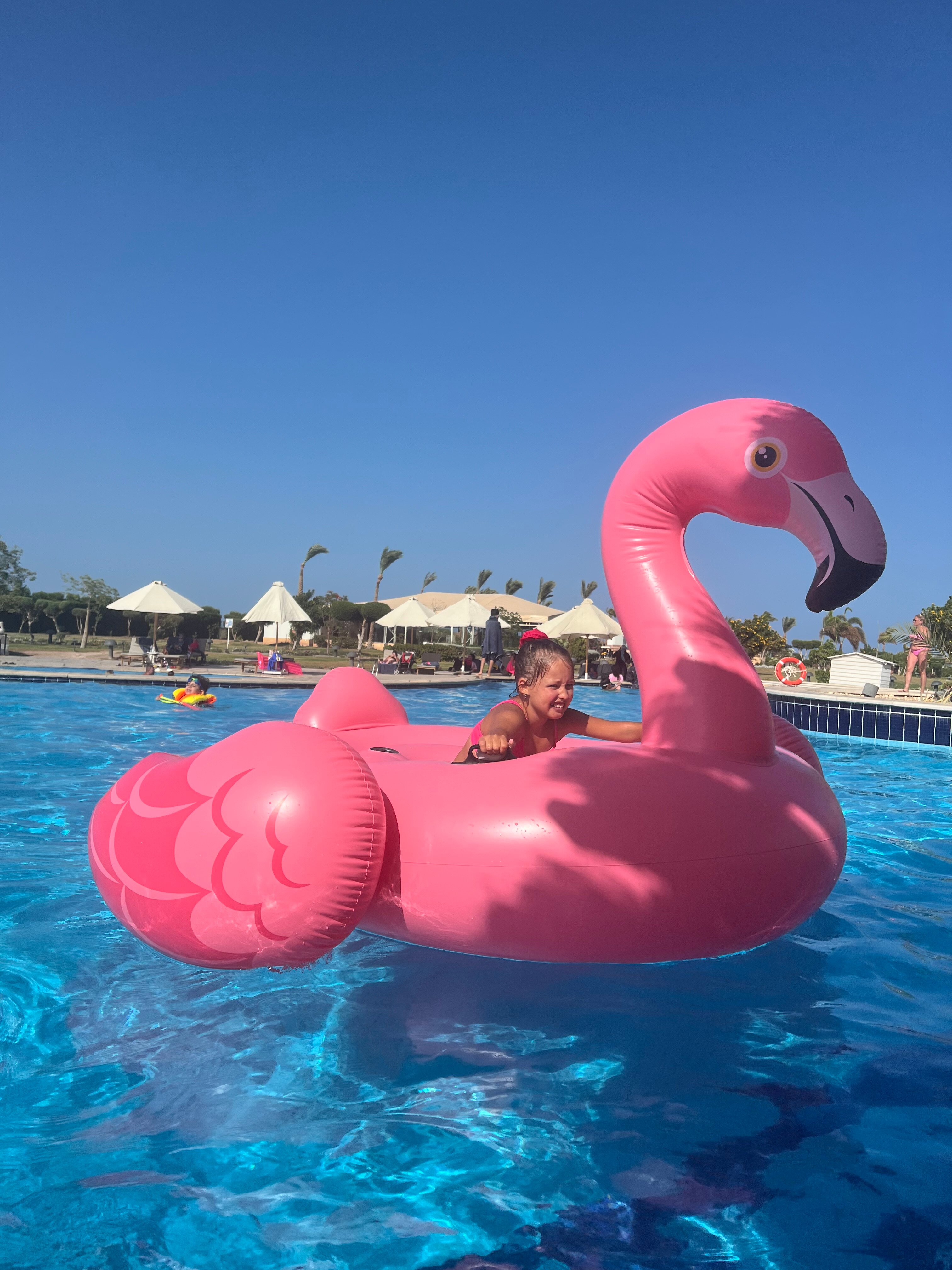 Фото Movenpick Waterpark Resort & SPA Soma Bay