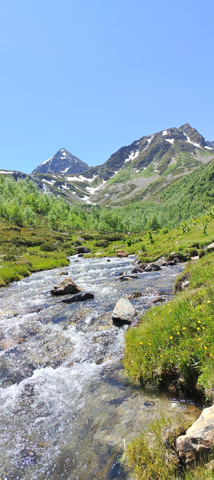 Фото Шале Белая Сова