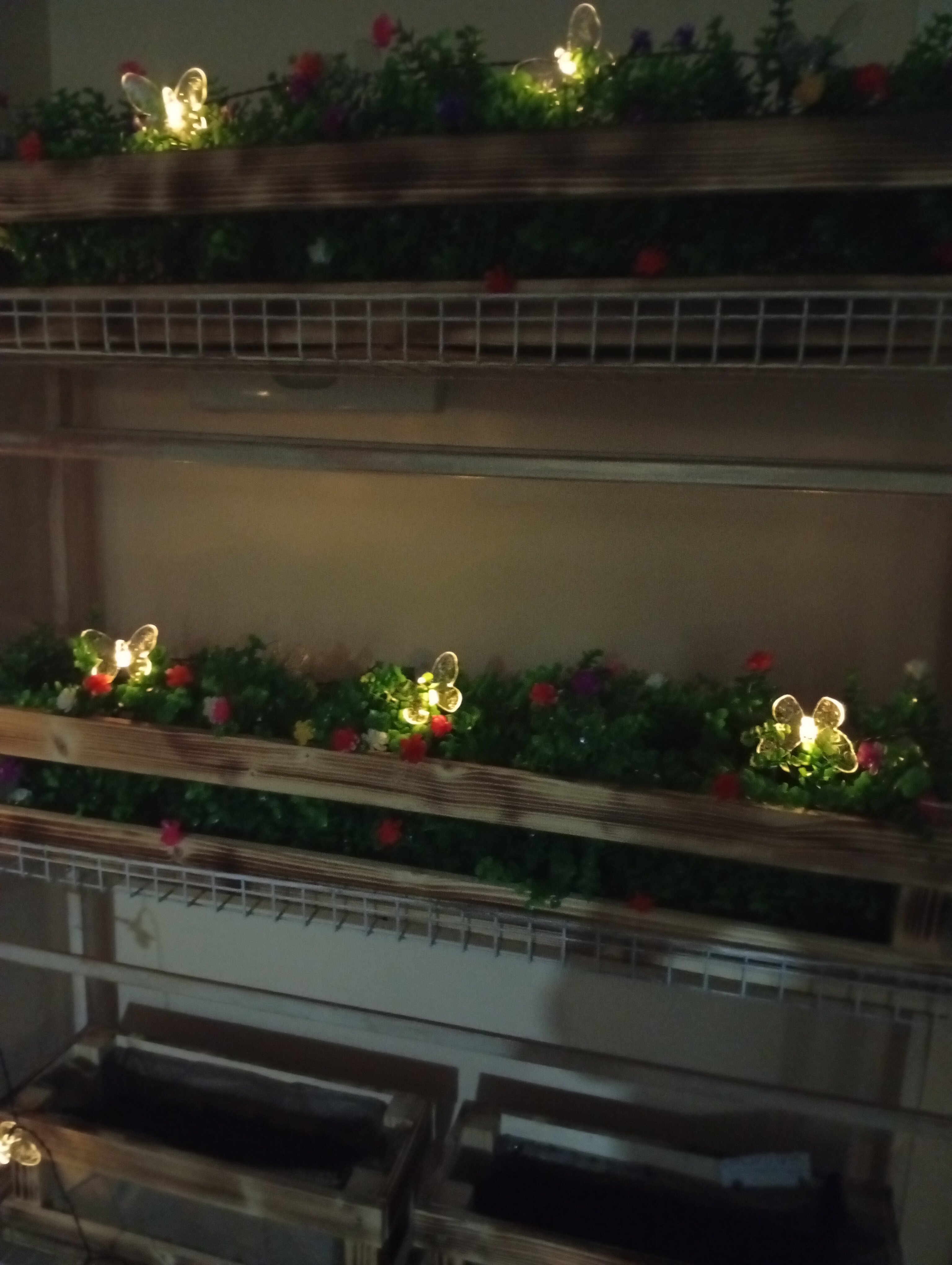 Фото Гостишка