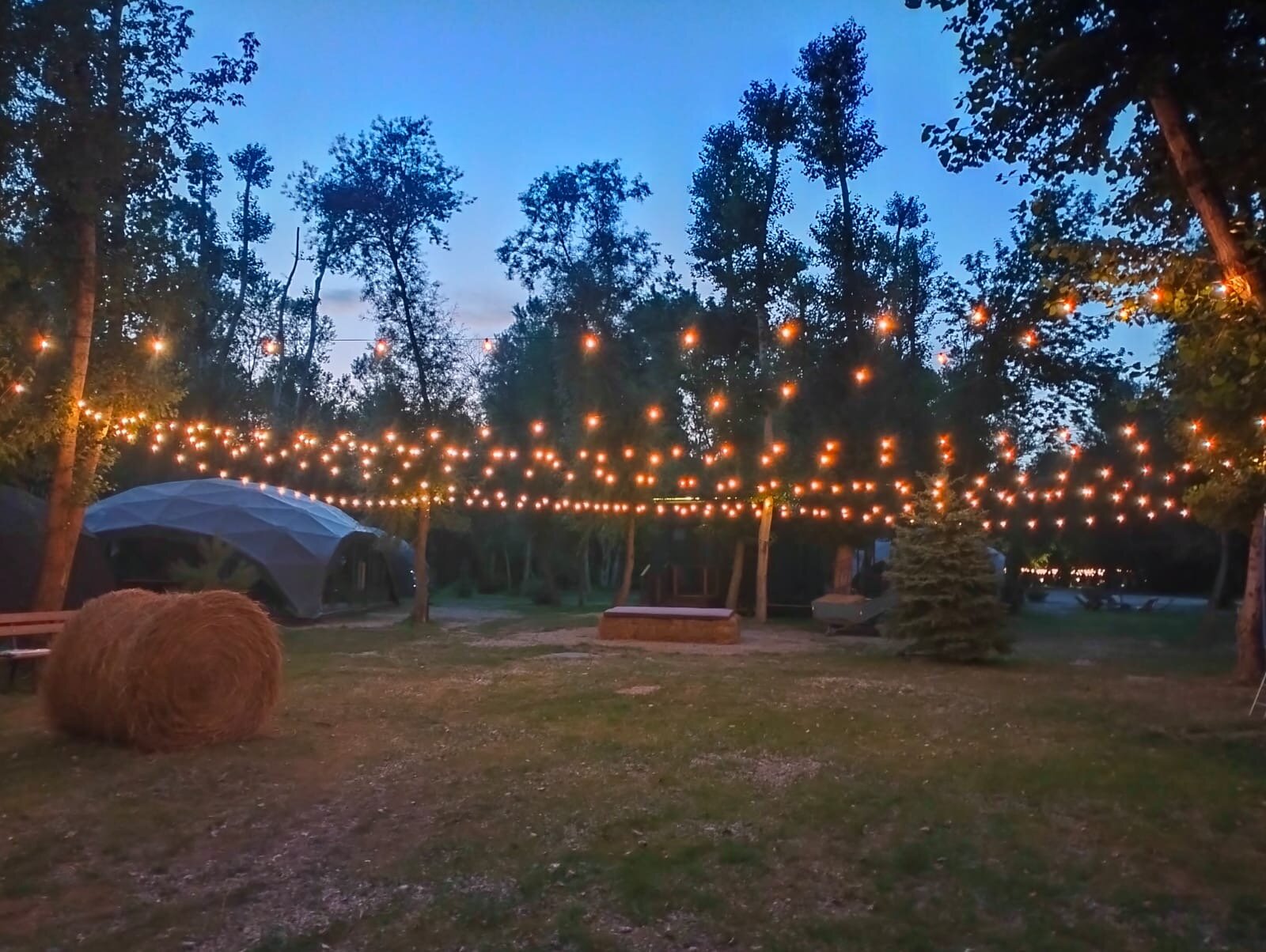 Фото Загородный клуб Лес