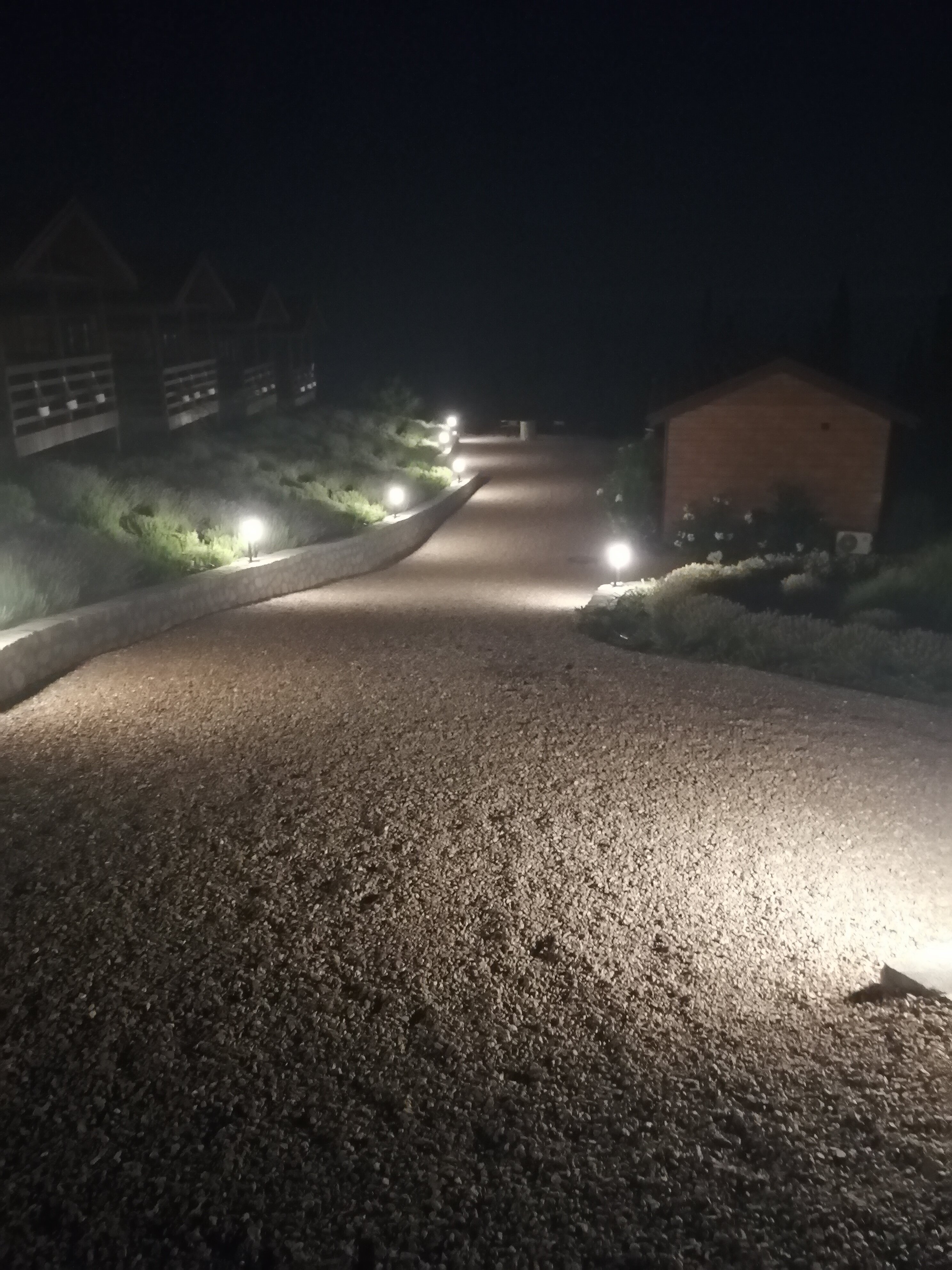 Фото Видовой