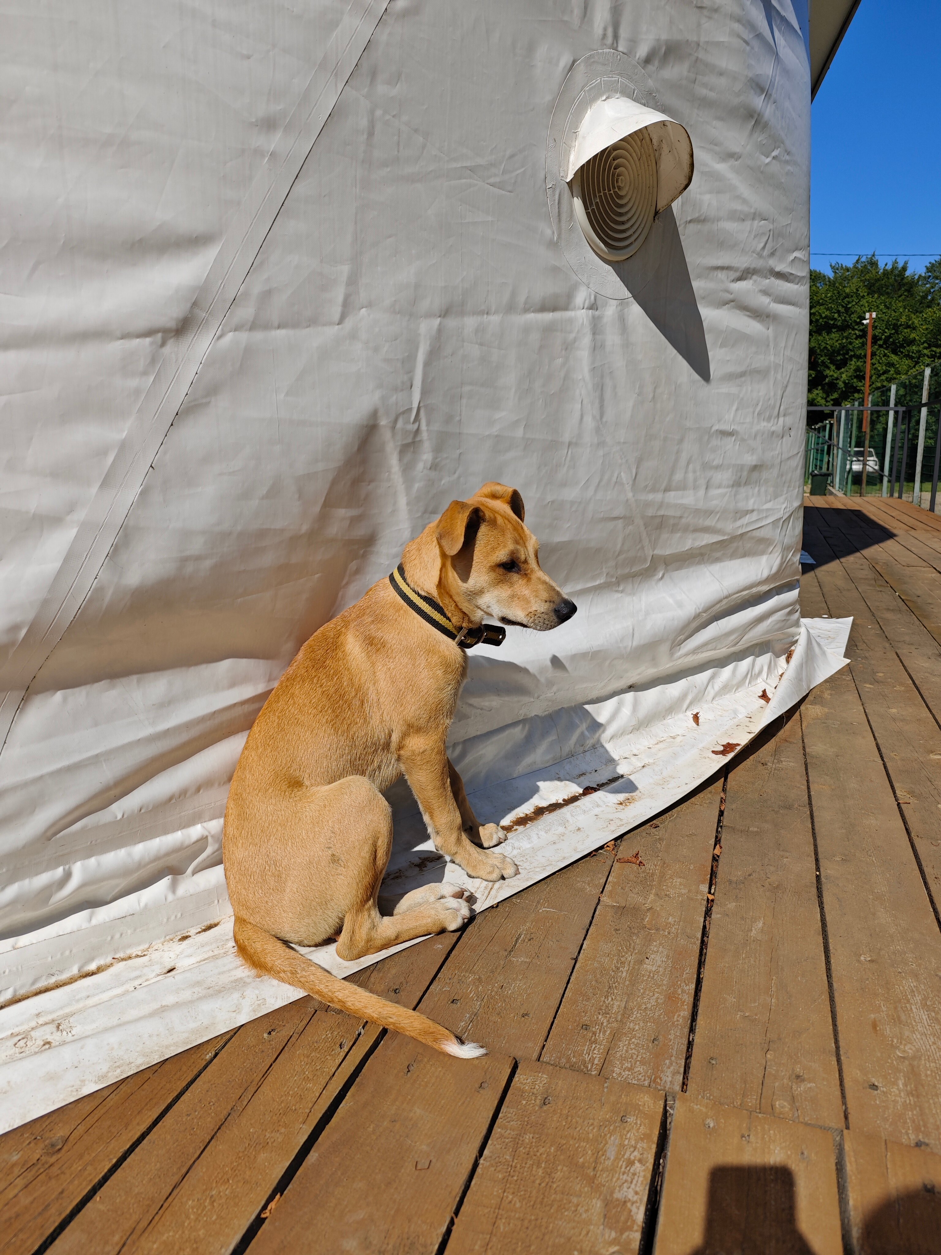 Фото Шамбала